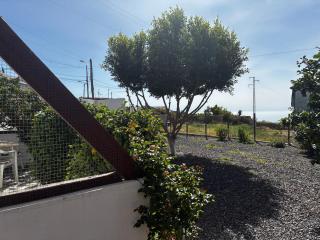 Casa Rosa - 8