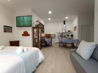 Apart Onak 4 - 1cama y sofa cama - parking gratis - 0