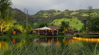 Cozy LakePod Nature Retreat near Gstaad and Interlaken - 7