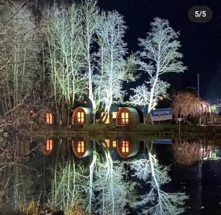 Cozy LakePod Nature Retreat near Gstaad and Interlaken - 4