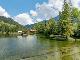 Cozy Lake Pod with shared bathroom near Gstaad - 1