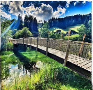 Simple LakePod Nature Escape near Gstaad and Interlaken - 2