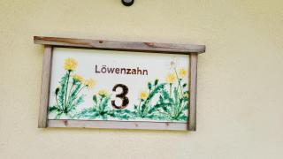 Stodertraum 3 "Löwenzahn" by Alpenidyll Apartments - 9
