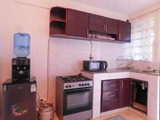 Spacious Quiet 1BR Apartment Kapsoya Kao la Amani - 5