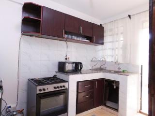 Spacious Quiet 1BR Apartment Kapsoya Kao la Amani - 4