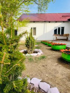 Adil Rest House and Horse Tours - 3