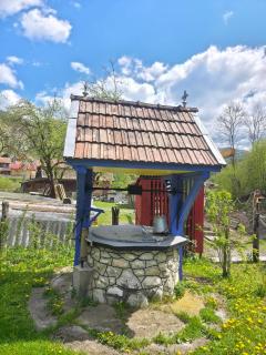 La Umbra Muntilor Traditional House - hot tub included - 6