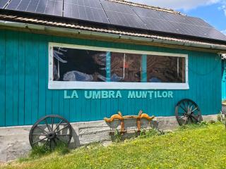 La Umbra Muntilor Traditional House - hot tub included - 8