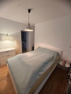 Geräumiges 2-Raum-Apartment mit Loggia - 7