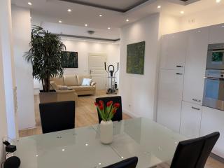 Stylish Light Filled City Apartment in Historic Art Nouveau Villa Wiesbaden City Center - 0