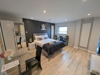 Modern Studio in Prime City Location - Off Mill Rd - 4