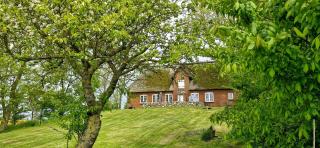Thatched House On A Warft Near Schlüttsiel - 7