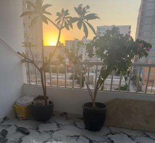 Ruim apartement abo saeed - 8