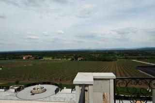 Djordjevic Estate Winery - 7