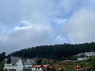 Little House - 2