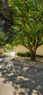 Likhona's Guesthouse - 0