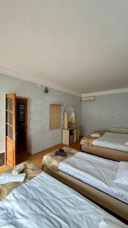 Garden Sheki Hotel - 4