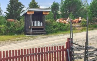 Awesome Home In Kvam With Sauna - 8