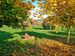 Grange Of Berryhill - Uk41534 - 4