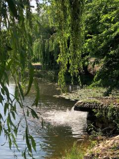 Ranchoto Guest House Cozy Lake and Nature Escape - 3