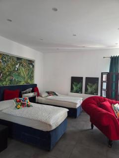 Apartament pod Papugami - 5