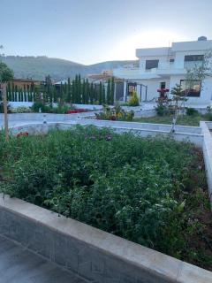 Olives Hill Farm - 9