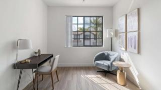 The Sunshine Vibe 8682 - 2