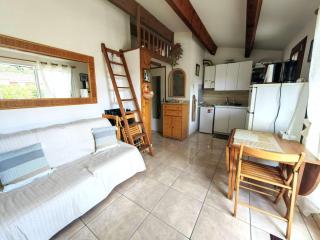 Villa T2 climatisée avec terrasse dans la pinède - FR-1-607-87 - 0