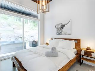Modern Luxury Chalet Private Jacuzzi - 1