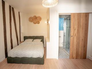 L écrin Vert Duplex cosy Hypercentre Rouen - 3