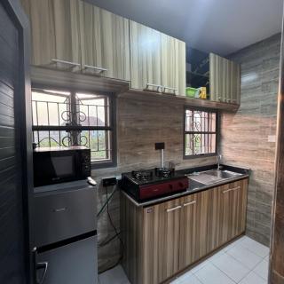 Homes in Satellite - 2