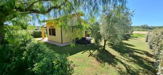 Villa Oliva - 9