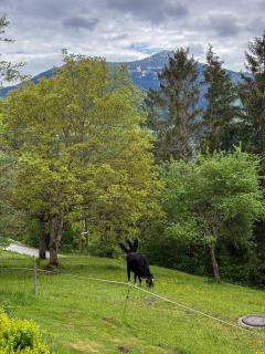 Landhaus Weitblick - 7