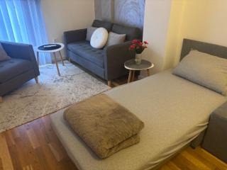Nest CT - 9