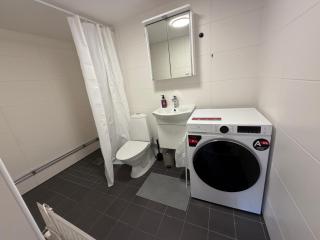 Spacy flat with big garden - 9
