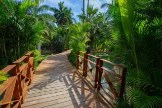 Selva & Sea Retreat with Private Pool Terrace - 7