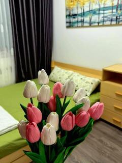 Đinh Tĩnh Apartment - 3