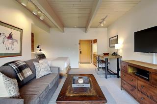 Timberline Condominiums Studio Deluxe Unit 214 - 9