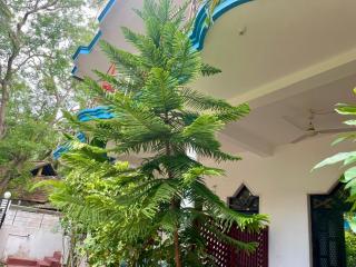 Golden Breeze - 2