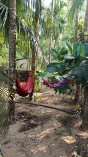 Shantika Homestay prefer birds over bars, this is your STAY - 2