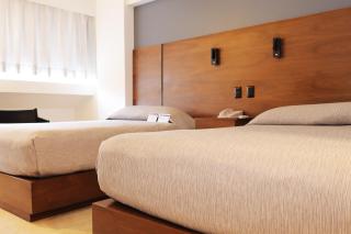 Hotel Fortin Plaza - 1