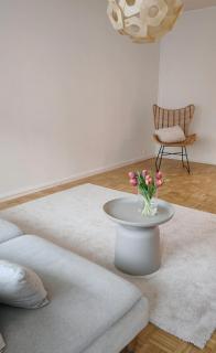 Minimalistic Skandi style apartment - 1