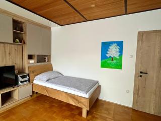 Apartment Alois in Seitenstetten - 4