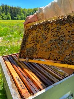 La douceur de l'abeille - 3