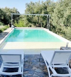 Olive trees hideaways 1 - 2