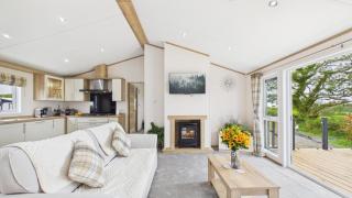Kittiwake Lodge - 2 Bed Lodge - Wisemans Bridge - 9