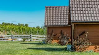 "OhMazury" ogród i winnica - 8