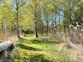 4 star holiday home in Östhammar - 5