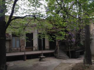 Wisteria 200 - 3