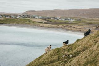 Calm and remote seaside getaway in Husavik - A rustarinum - 7